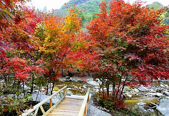 本溪老边沟风景区第 10 张图片