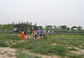 旭海庄园第 24 张图片