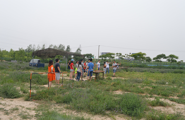 旭海庄园皇家大马戏门票(成人票)