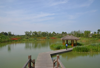 白鹭湾湿地公园自助烧烤第 3 张图片
