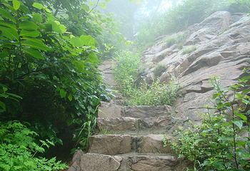 大青山风景区第 12 张图片