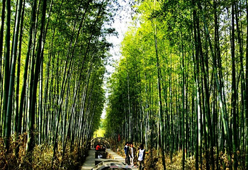沂蒙山旅游区龟蒙景区第 14 张图片
