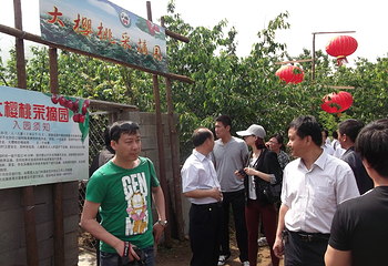 龙湾地质公园第 10 张图片