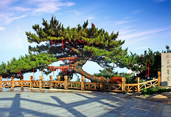 沂蒙山旅游区龟蒙景区第 42 张图片