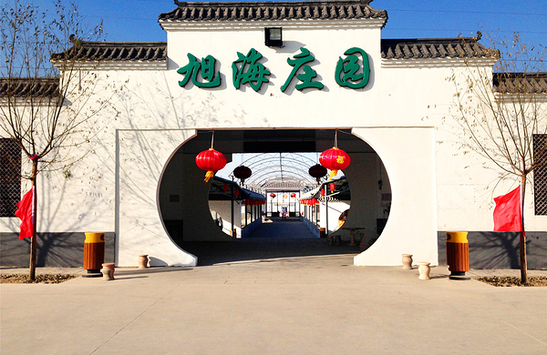 旭海庄园皇家大马戏门票(成人票)