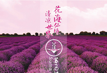 苏马荡景区第 7 张图片