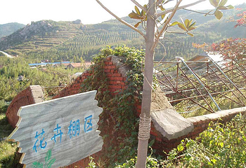 百雀林观光园第 32 张图片