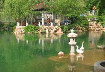 百雀林观光园第 31 张图片