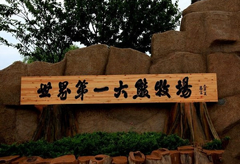 东方熊牧场第 13 张图片