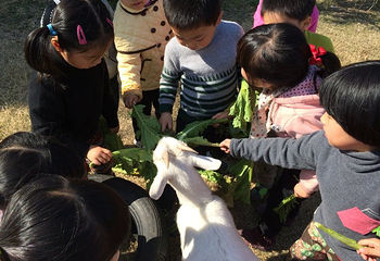 容盛生态农庄第 39 张图片