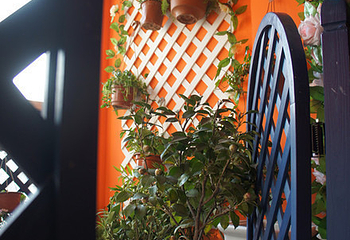 七月邂瑜伽精舍第 8 张图片