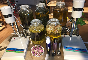 橄榄庄园手工皂DIY工作室第 12 张图片