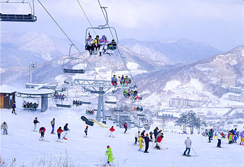 亚布力新体委滑雪场第 12 张图片
