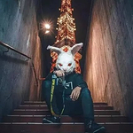 心灵宫殿的头像
