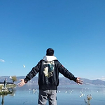Harry旅行纪的头像