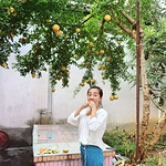 哇塞张女士的头像