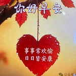 赴一场秋的头像