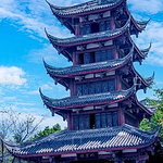 安之若素的头像