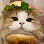 勇敢牛牛的头像