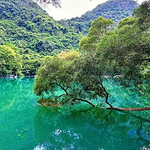 小阳带你逛柳州的头像