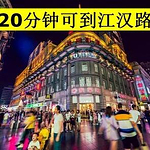 旅游猪猪的头像