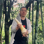 薛老师的足迹的头像
