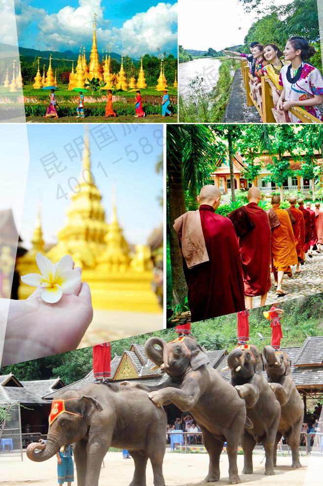 《五星 温泉 美食》 昆明|大理|丽江|版纳四飞8日奢华游 真正挂牌五星