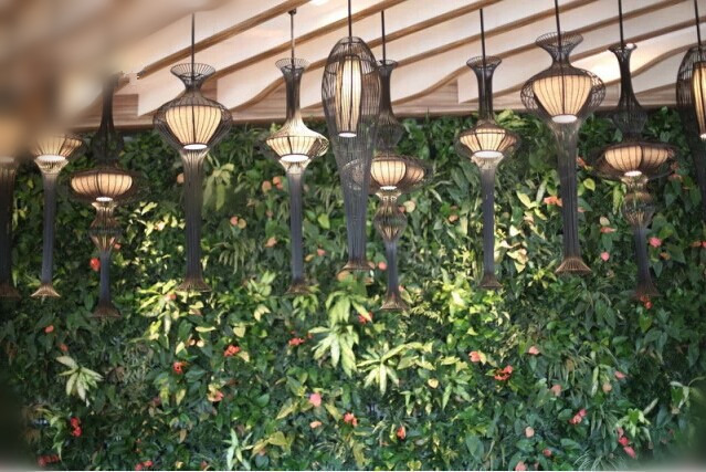 同时被吸引的,还有一整面鲜活花草植物墙,全力为客人吐纳充沛氧气.