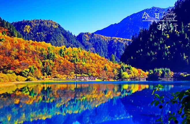 四川特价(四天四飞)78九寨沟,黄龙,重庆洪崖洞,磁器口古镇四天四飞