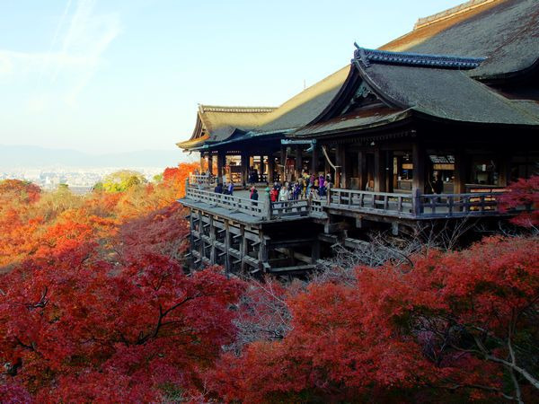 泉州直飞日本大阪!