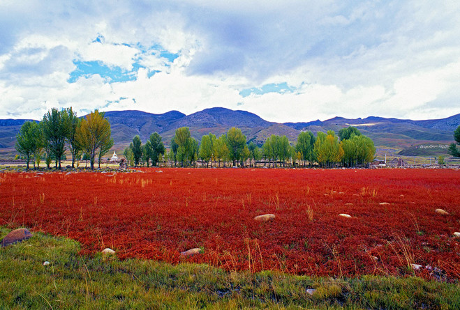 没有年龄歧视 央迈勇神山 洛绒牛场,海子山,欣赏迷人的赤土河谷风光