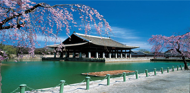 四川省中国青年旅行社锦江分社旗舰店 成都出发 韩国跟团游