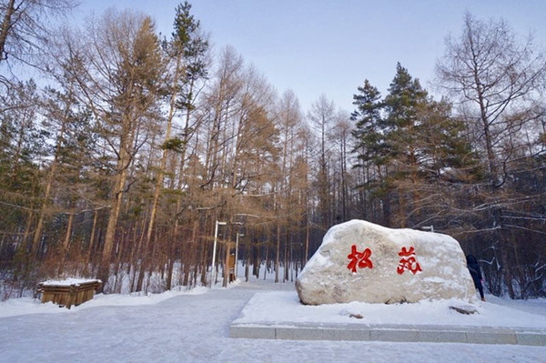 全含哈尔滨雪乡亚布力漠河8日不限时滑雪无人机航拍雪地礼包