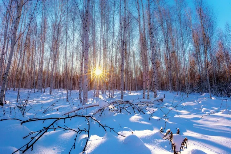 北国边陲漠河在大兴安岭,但在岭而不觉岭,"岭"的