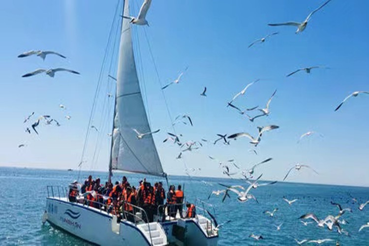 20人团大连精品5日游76金石滩旅顺老虎滩76帆船出海赶海抓螃蟹