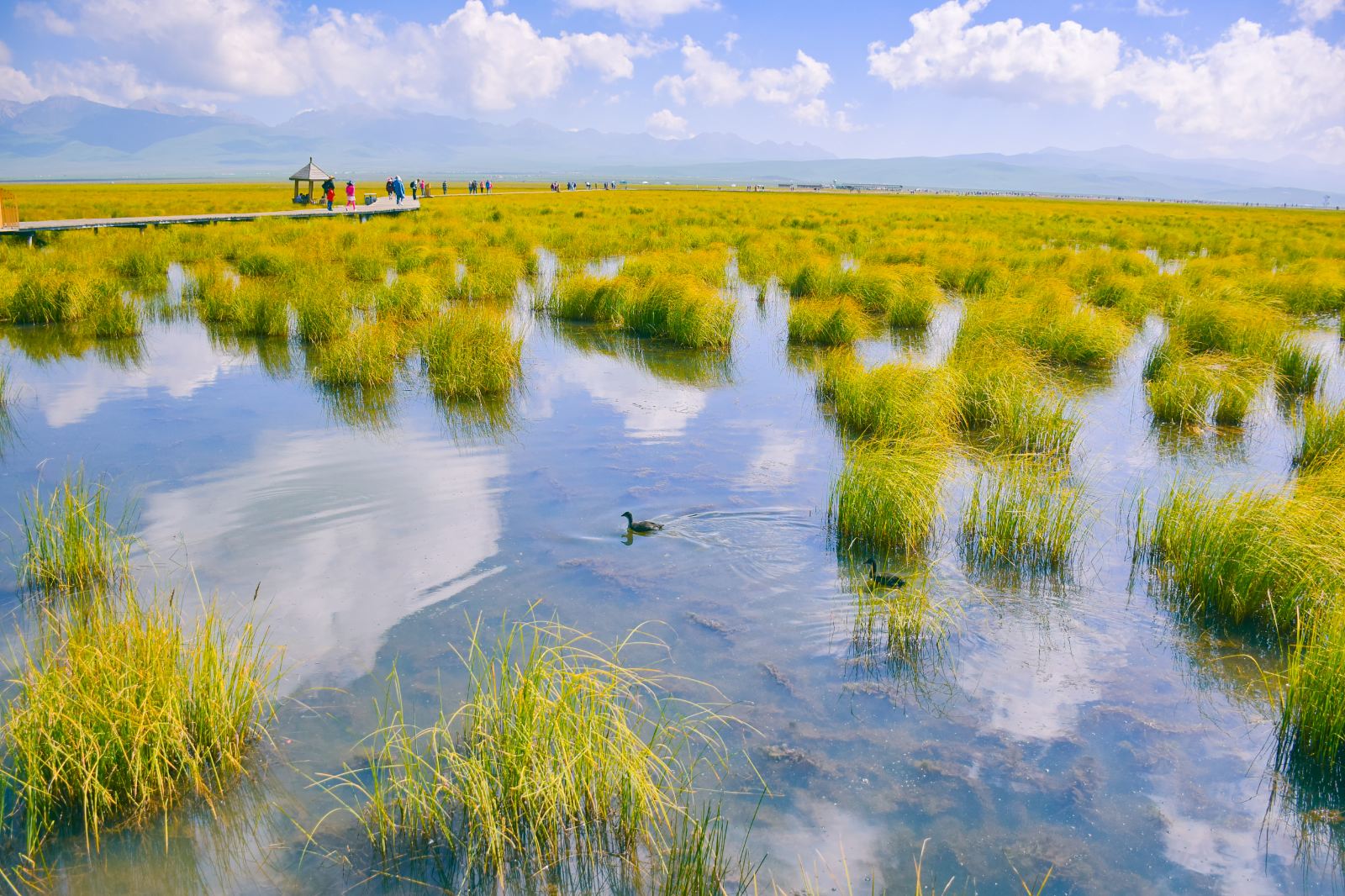 兰州草原旅游景点大全图片