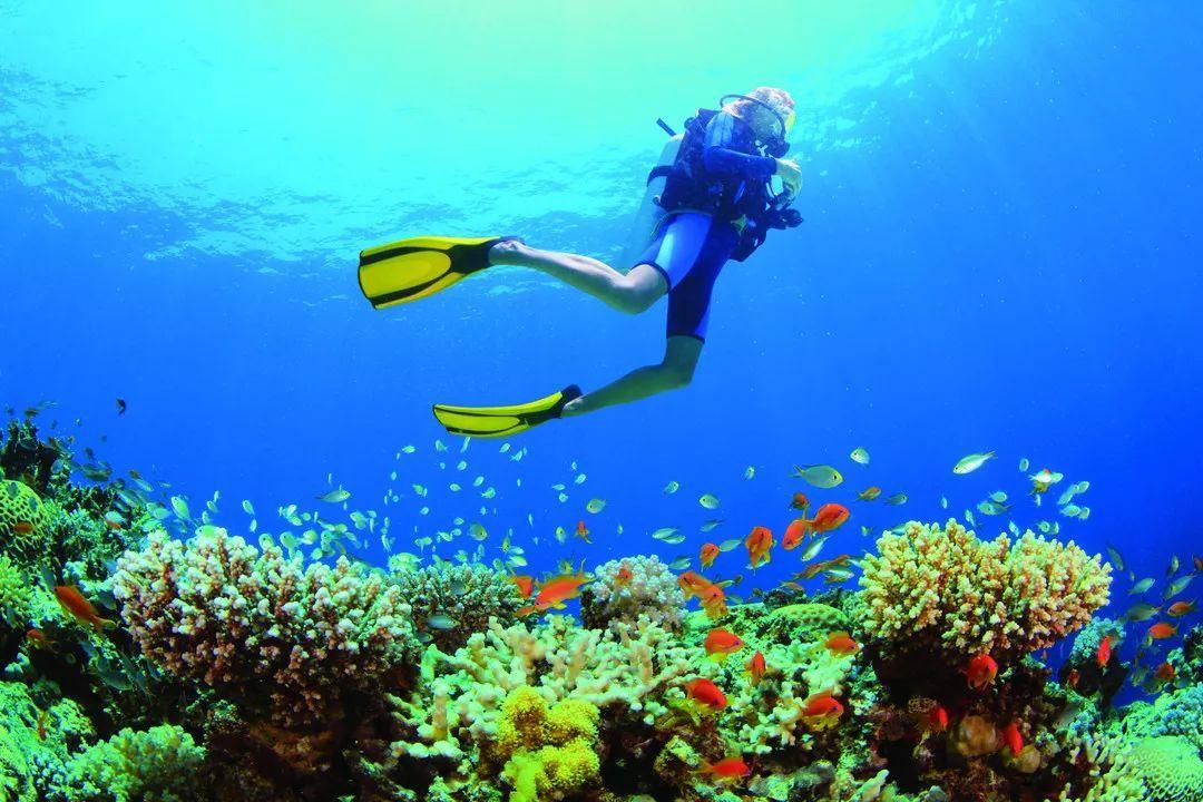 1单1团 超一线海边 五钻度假型酒店连住丨亚特水族