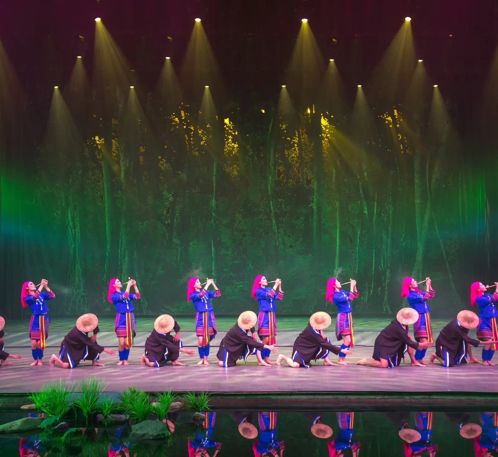 赠:丽水金沙💃云南丽江 大理5日跟团游🏔️玉龙雪山