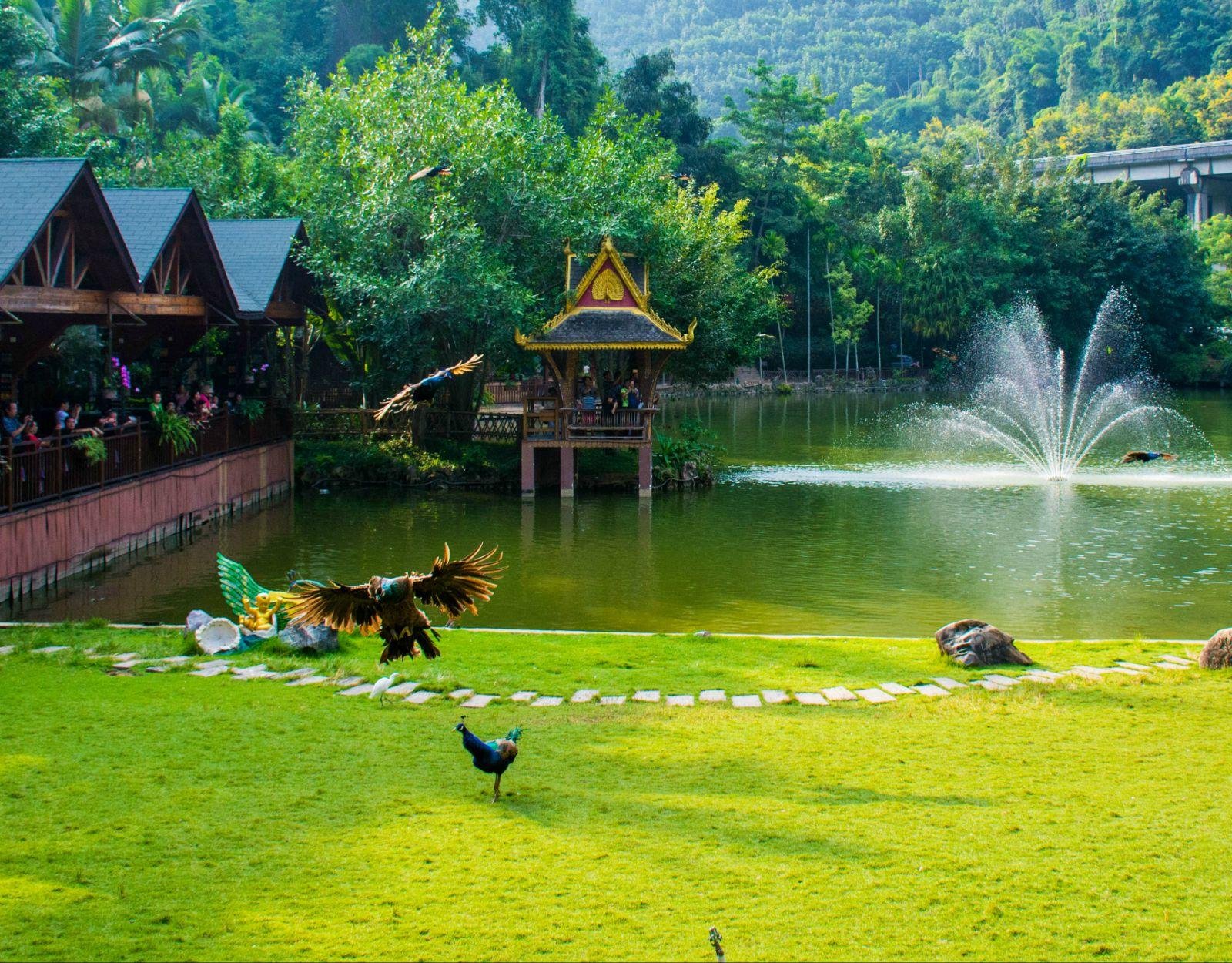 云南西双版纳深度游!