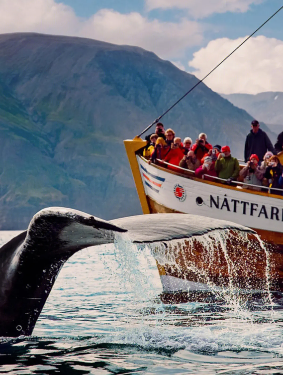 冰岛环岛10日五一尾单出海观鲸丨十年北欧资深领队丨