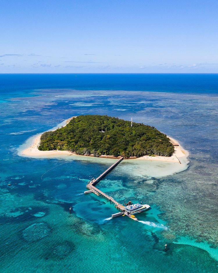 堡礁 91skyrail缆车|蓝山含缆车|喂袋鼠抱考拉-出境游-阳光旅游品牌