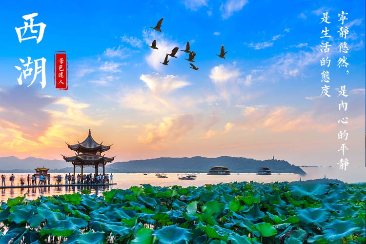 纯玩团78华东全景11日游78上海夜游乌镇杭州宋城含演出横店千岛湖