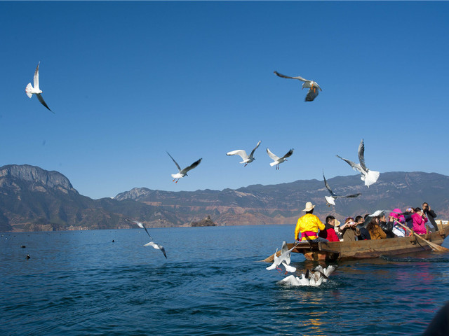 丽江出发丨泸沽湖 玉龙雪山3日游丨6-14人商务小团丨雪山大索道登顶丨