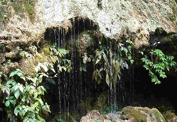 香纸沟枫叶谷旅游度假区第 28 张图片