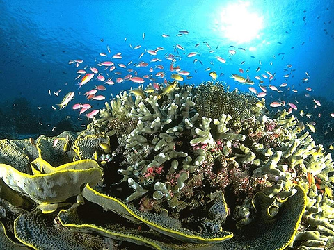 小梅沙海洋世界