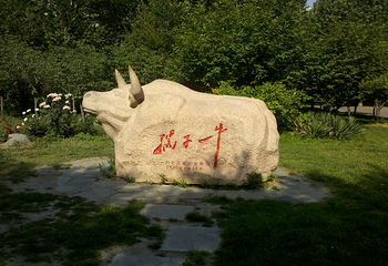 清华大学第 7 张图片