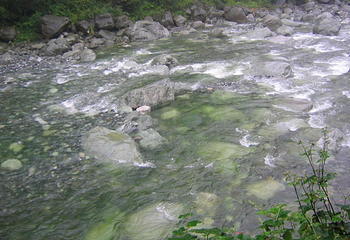 银厂沟度假村第 4 张图片