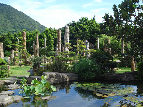 仙湖植物园