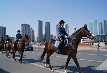 女子骑警基地第 5 张图片