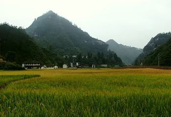 香纸沟枫叶谷旅游度假区第 32 张图片
